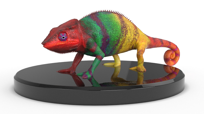 Chameleon-images04